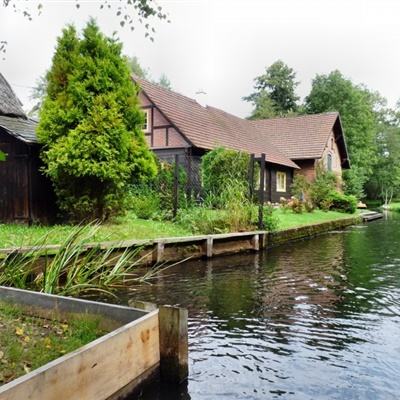 天天中彩票下载手机版