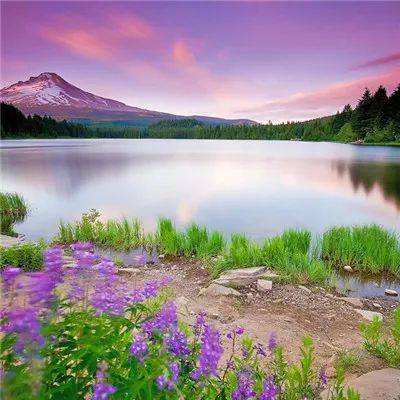 manbetx万博官网网页版