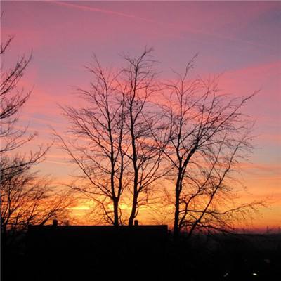 米乐网下载手机版