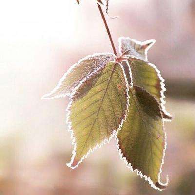 安博体育app官方下载入口